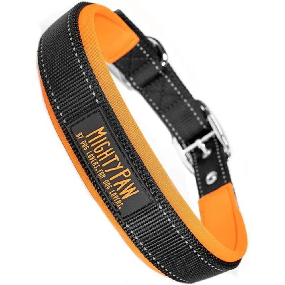 Sport Collar 2.0 | Soft Neoprene Padded Dog Collar for Maximum